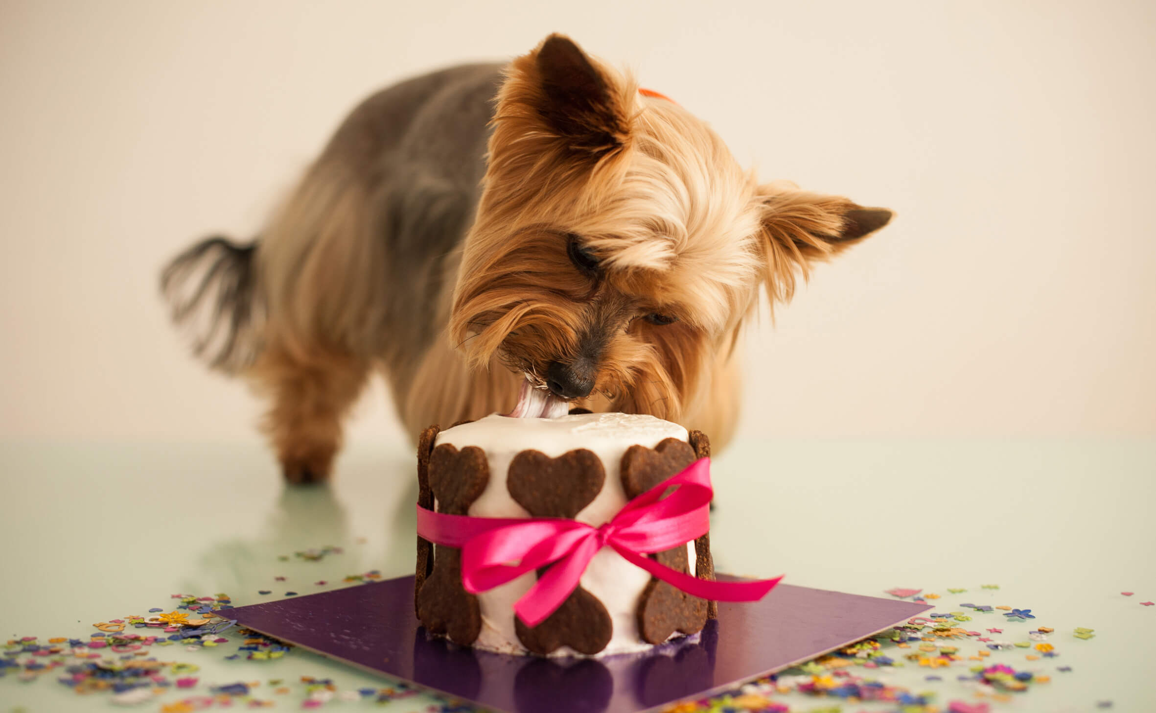 shutterstock_334521659-2-1